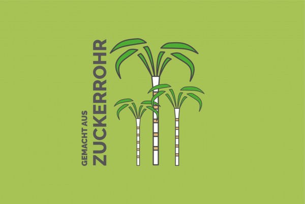 Bio Eiskratzer aus Zuckerrohr